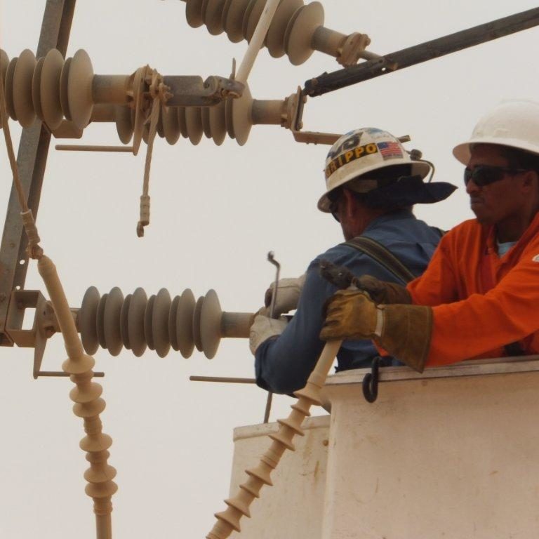 Grippo Bi-metallic lug 2